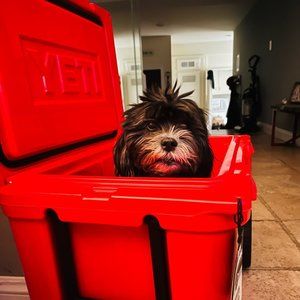 Meet your Posher, Meghan